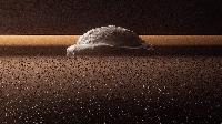 Solar System (2024)